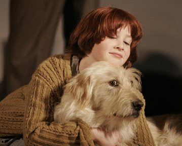 stranger things dog stranger things dog